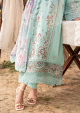Cassia