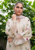 Mirae Noor