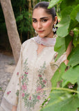 Mirae Noor